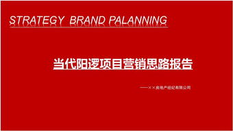 武漢當(dāng)代陽邏開發(fā)區(qū)住宅項(xiàng)目營銷思路報(bào)告126頁